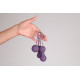 Набор фиолетовых вагинальных шариков Je Joue Ami (фиолетовый)