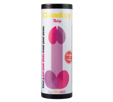 Набор для создания слепка пениса Cloneboy Tulip Hot Pink (розовый)
