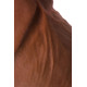 Коричневый фаллоимитатор-реалистик Mr.Gomez - 21 см. (коричневый)