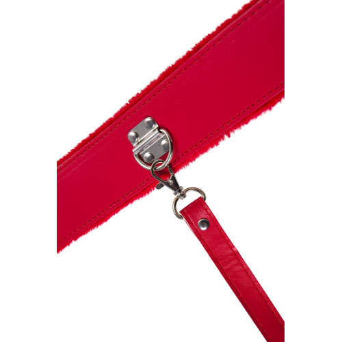 Красный ошейник с металлической фурнитурой (красный)