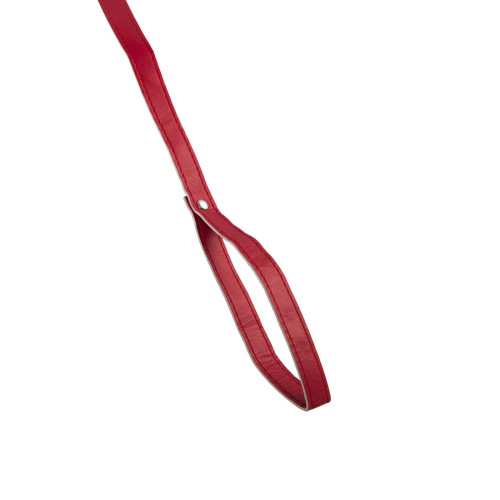 Красный ошейник с металлической фурнитурой (красный)