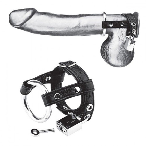 Утяжка на пенис на замочке Duo Cock And Ball Lock (черный с серебристым)
