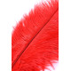 Красное страусиное пёрышко - 40 см. (красный)