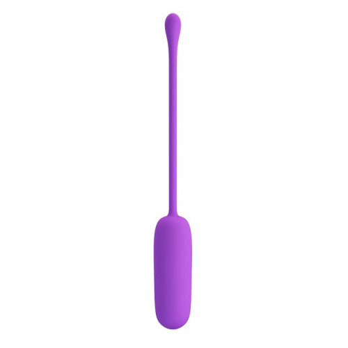 Фиолетовое перезаряжаемое виброяйцо Joyce (фиолетовый)