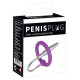 Уретральный плаг с силиконовым кольцом под головку Penis Plug (фиолетовый)