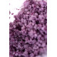 Соль для ванны  Bath Salts Aphrodisia с цветочным ароматом - 75 гр. (розовый)