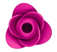 Ярко-розовый вакуум-волновой стимулятор Pro 2 Modern Blossom (ярко-розовый)