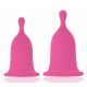 Набор из 2 розовых менструальных чаш Cherry Cup (розовый)